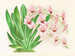 Miltonia vexillaria - Jean Jules Linden — weergave van het kunstwerk