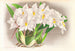 Odontoglossum alexandrae - Jean Jules Linden — weergave van het kunstwerk