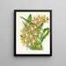 Odontoglossum boddaertianum - Jean Jules Linden — ingelijst kunstwerk aan de muur