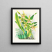 Odontoglossum duvivierianus - Jean Jules Linden — ingelijst kunstwerk aan de muur
