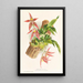 Paphinia Randi Paphinia Cristata - Jean Jules Linden — ingelijst kunstwerk aan de muur