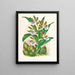 Zygopetalum intermédiaire - Jean Jules Linden — ingelijst kunstwerk aan de muur