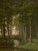 Landschap van eenzaamheid in de omgeving van Schilde - Jean-Pierre François Lamorinière — weergave van het kunstwerk