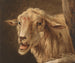 Hoofd van een schaap na Andries Vermeulen - Jean Zacharie Mazel — weergave van het kunstwerk