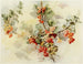 Groselles - Jeanne M. Stewart — weergave van het kunstwerk