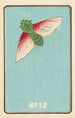 Catalogue illustré des obus de jour No 12 - Jinta Hirayama — weergave van het kunstwerk