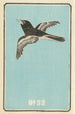 Catalogue illustré des obus de jour No 32 - Jinta Hirayama — weergave van het kunstwerk