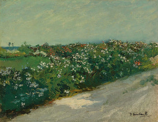 Joaqun Sorolla - Malvarrosa.webp