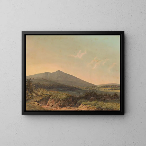 Vue de Kedungbadak - Johan Conrad Greive — framed artwork on a wall