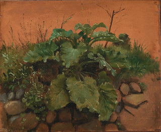 Johan Thomas Lundbye - A Burdock And Other Plants On A Stone Wall.webp