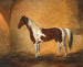 Een paard in een stallen - Johann Adam Klein — weergave van het kunstwerk