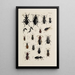Archives de l'histoire des insectes Pl31 - Johann Caspar Füssli — ingelijst kunstwerk aan de muur