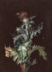 Chardon avec insectes - Johann Christoph Dietzsch — weergave van het kunstwerk