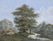 Landschap met eik aan de rand van een rivier - Johann David Passavant — weergave van het kunstwerk
