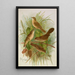 Acrocephalus agricolus Jardon Cettia cetti Marm Locustella lanceolata - Johann Friedrich Naumann — ingelijst kunstwerk aan de muur
