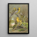Budytes citreolus Budytes campestris - Johann Friedrich Naumann — ingelijst kunstwerk aan de muur