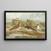 Charadrius morinellus Arenaria interpres Charadrius alexandrinus - Johann Friedrich Naumann — ingelijst kunstwerk aan de muur