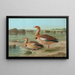 Chenalopex aegyptiacus - Johann Friedrich Naumann — ingelijst kunstwerk aan de muur