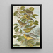 Chrysomitris spinus Chrysomitris citrinella Chrysomitris corsicanus - Johann Friedrich Naumann — ingelijst kunstwerk aan de muur
