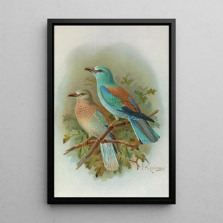 Johann Friedrich Naumann - Coracias garrula.webp