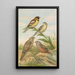 Emberiza aureola Pall Emberiza caesia Cretschmar - Johann Friedrich Naumann — ingelijst kunstwerk aan de muur