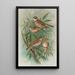 Emberiza rustica Pall Emberiza pusilla Pall - Johann Friedrich Naumann — ingelijst kunstwerk aan de muur
