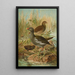 Gallinula chloropus - Johann Friedrich Naumann — ingelijst kunstwerk aan de muur