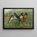 Hirundo rustica Hirundo rustica Savignii - Johann Friedrich Naumann — ingelijst kunstwerk aan de muur