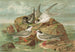 Hydrochelidon fissipes, Hydrochelidon hybrida, Hydrochelidon nigra - Johann Friedrich Naumann — weergave van het kunstwerk