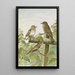 Muscicapa grisola Muscicapa atricapilla - Johann Friedrich Naumann — ingelijst kunstwerk aan de muur