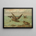 Oceanodroma leucorrhoa Vieill Goéland à queue fourchue - Johann Friedrich Naumann — ingelijst kunstwerk aan de muur