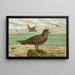 Ossifraga gigantea GMEL Grote albatros - Johann Friedrich Naumann — ingelijst kunstwerk aan de muur