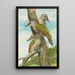 Picus canus - Johann Friedrich Naumann — ingelijst kunstwerk aan de muur
