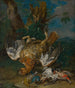 Natuurstudie met een Tetra - Johann Georg de Hamilton — weergave van het kunstwerk