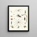 korte geschiedenis van de insecten van Dr. Sulzer, Pl. 28 - Johann Heinrich Sulzer — ingelijst kunstwerk aan de muur