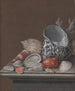 Natuurlijke stilleven met schelpen - Johann Jacob Dietzsch — weergave van het kunstwerk