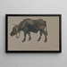 A buffalo - Johann Nepomuk Rauch — framed artwork on a wall