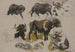 Buffles et bovins - Johann Nepomuk Rauch — artwork view