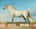 Muurschilderij voor een lage muur - Johann Peter Krafft — weergave van het kunstwerk