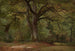 van het Eikenbos in de Solling - Johann Wilhelm Schirmer — weergave van het kunstwerk