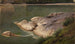 Rive rocheuse - Johann Wilhelm Schirmer — weergave van het kunstwerk