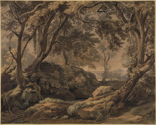 Johann Wilhelm Schirmer - Waldlandschaft mit Blick auf Olevano und den Monte Cavo.webp