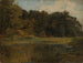 Bosmeer - Johann Wilhelm Schirmer — weergave van het kunstwerk