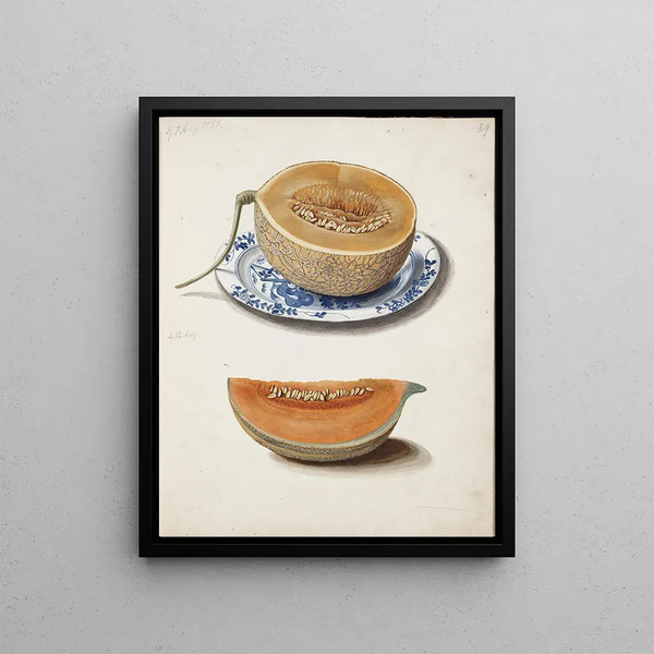 Study of two neatly cut melons in half and squared - Johanna Fosie — framed artwork on a wall