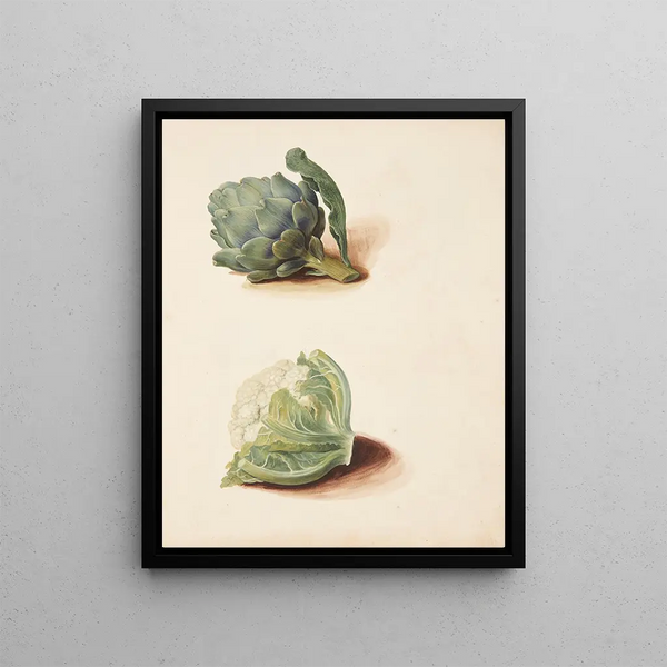 Study of the Artichoke and Cauliflower Head - Johanna Fosie — framed artwork on a wall