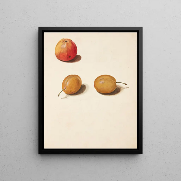 Study of Layers and Plums - Johanna Fosie — framed artwork on a wall