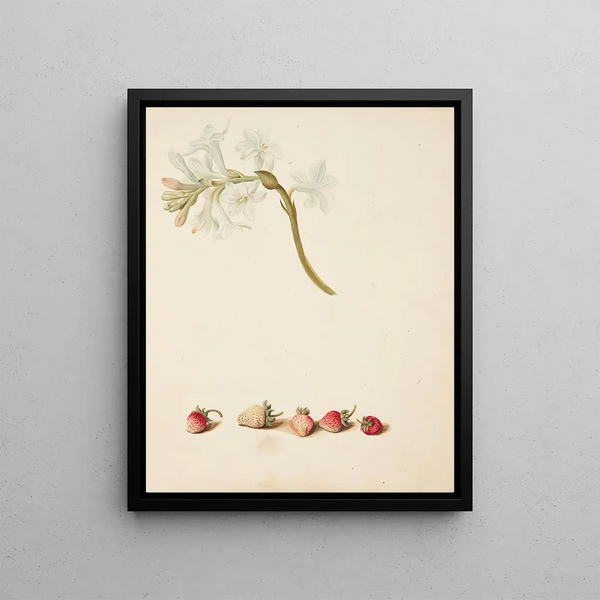 Study of the flower and the ground - Johanna Fosie — framed artwork on a wall