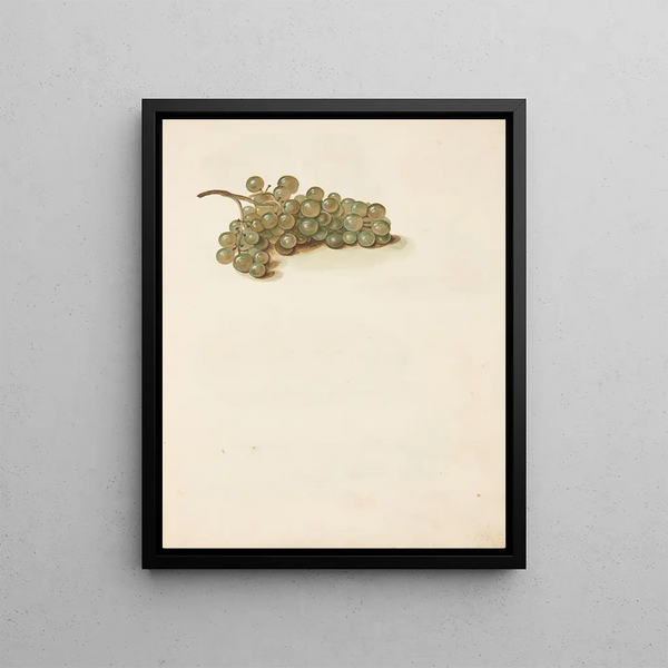 Study of Grapes - Johanna Fosie — framed artwork on a wall