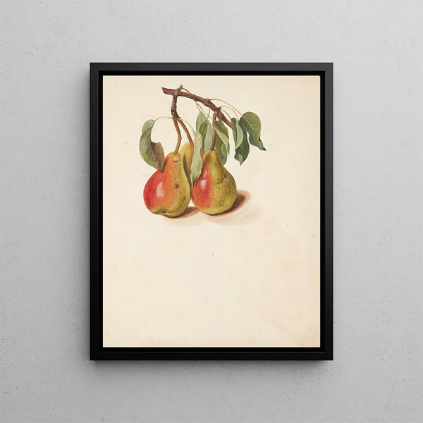 Study of Pre - Johanna Fosie — framed artwork on a wall