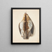 Study of two dead thrushes - Johanna Fosie — framed artwork on a wall